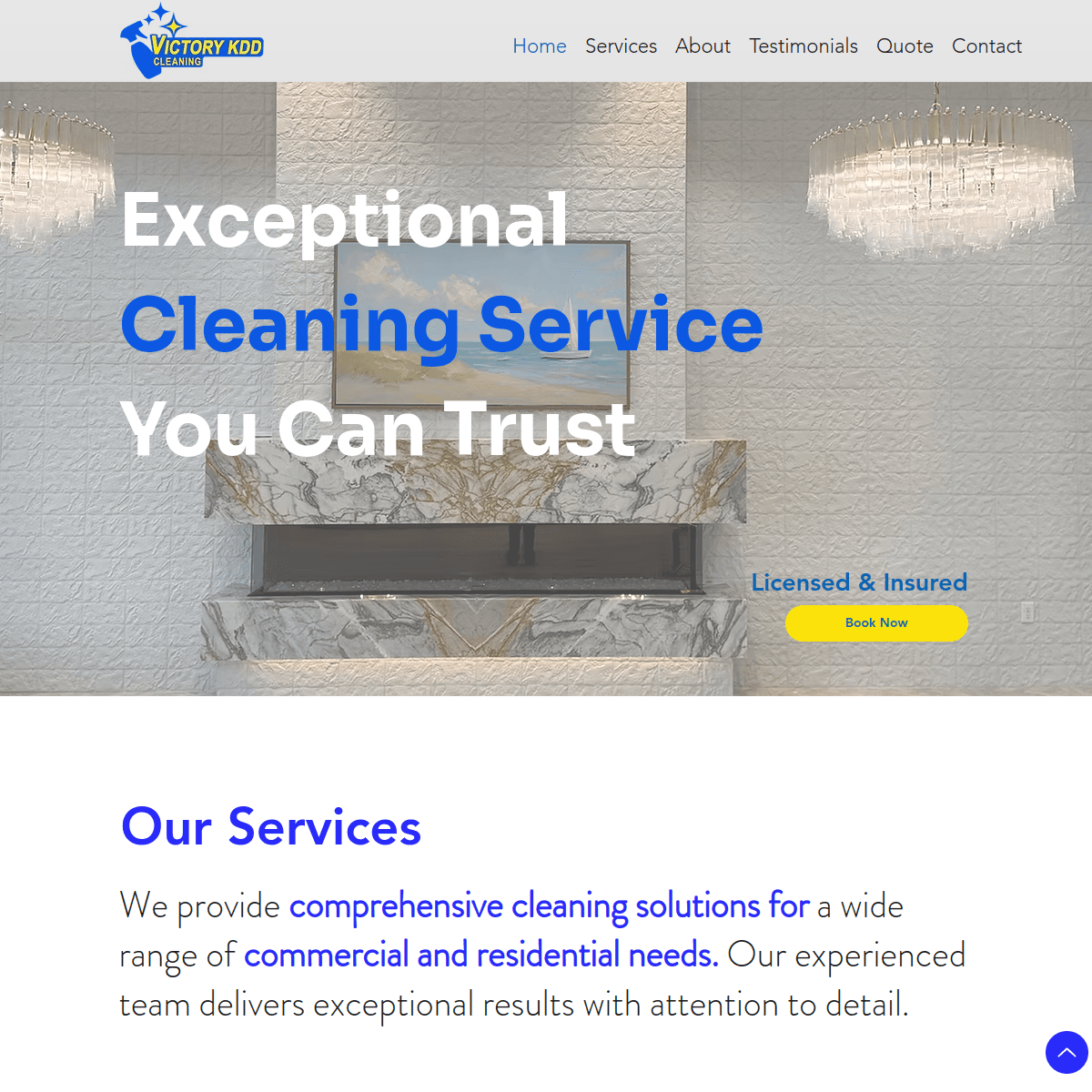 Victory KDD Cleaning